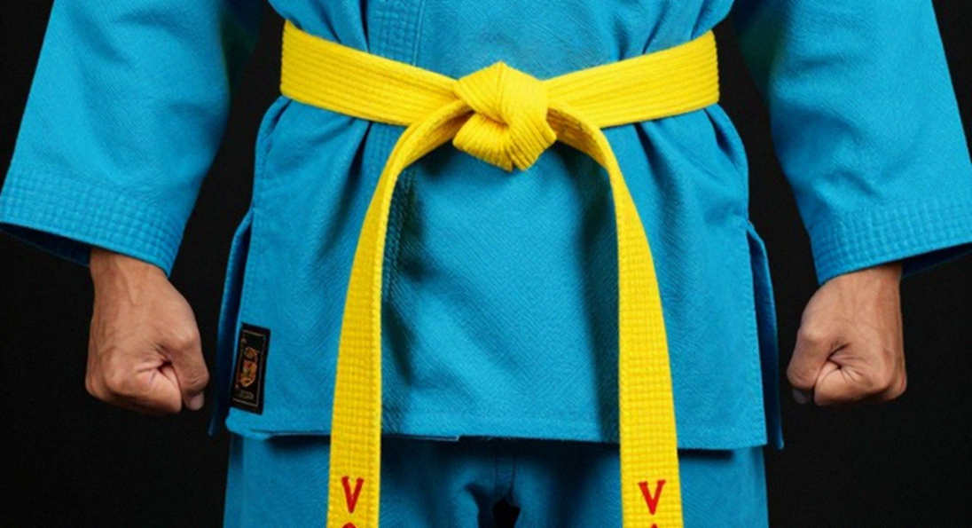 Martial Arts Sports Data Analysis: Insufficient Information for Detailed Assessment Martial Arts Sports Data Analysis: Insufficient Information for Detailed Assessment